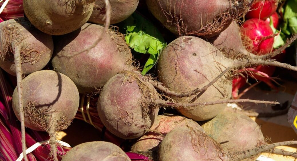 Буряк виросте з 2 кулаки і більше: ці 5 сортів є чемпіонами по Україні в 2025 – невибагливі 