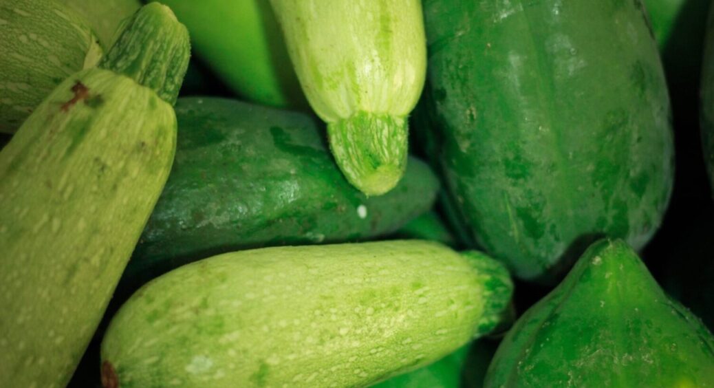 1 дія, яка врятує ваш врожай: чому потрібно обривати квіти у кабачків – кількість плодів зросте 