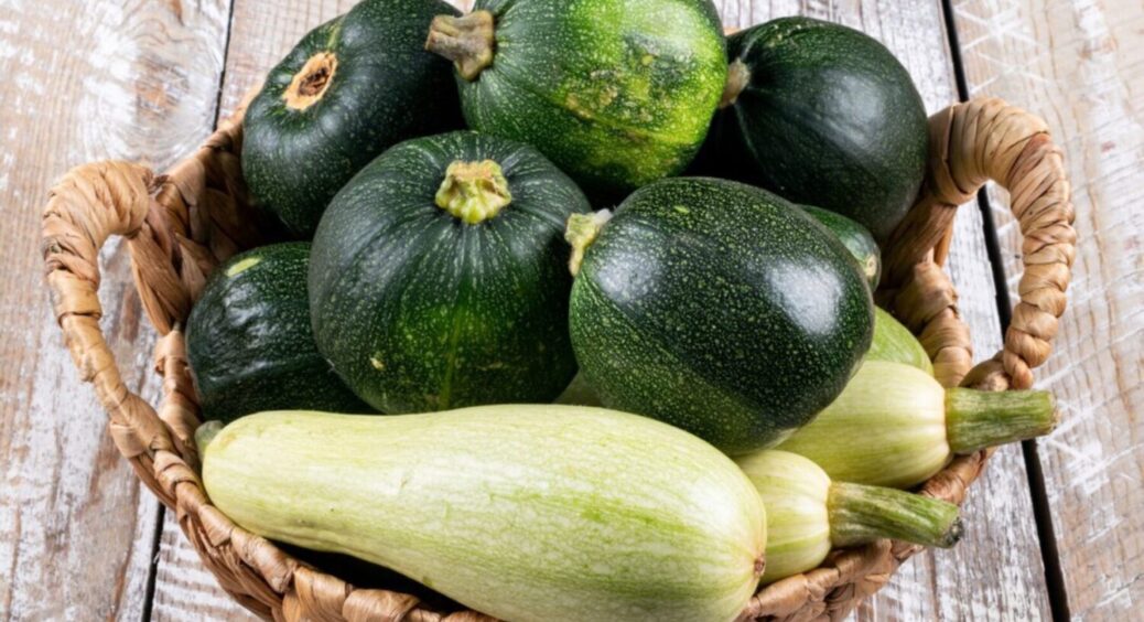 1 секретне місце для висадки кабачків: посадіть конкретно тут – збирайте рекордний врожай 