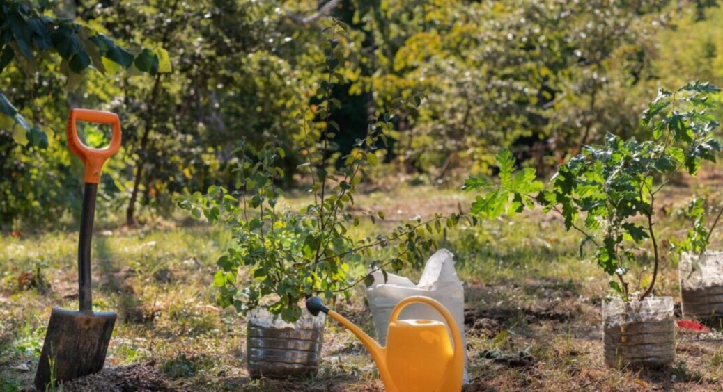 Як позбавитися від порослі в саду: 3 помилки та 1 вірне рішення! Цей метод справді працює 