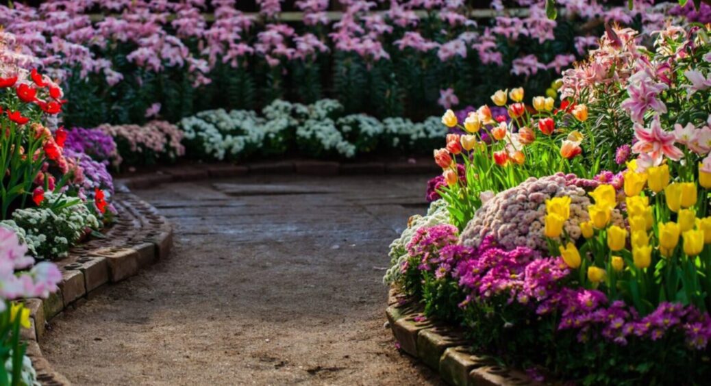 Забудьте про бетон раз і назавжди: з чого зробити доріжки в саду – 100% бюджетно та доступно 