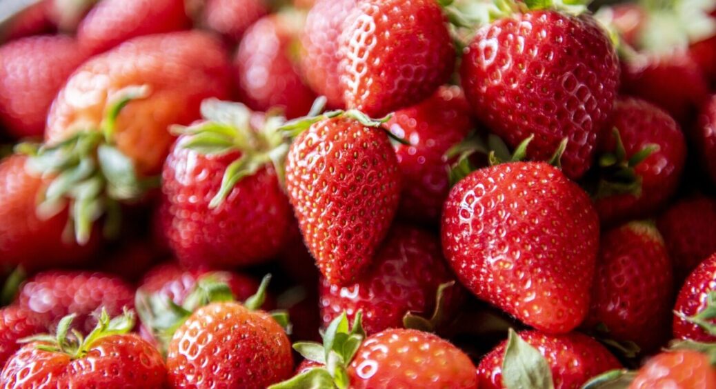 6 очевидних причин: чому полуниця щороку стає дрібнішою і не плодоносить – ось, в чому секрет 