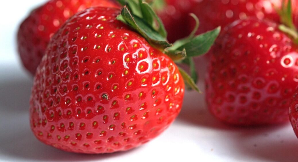 Це не можна садити після полуниці: ризикуєте залишитись “з носом” – секрети врожайної сівозміни 