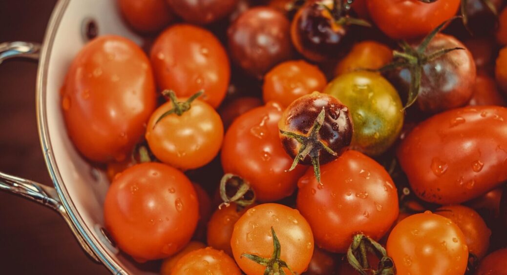 Ніколи не садіть ці 4 модні сорти томатів – на смак як пластик, водянисті, дають пустоцвіти 
