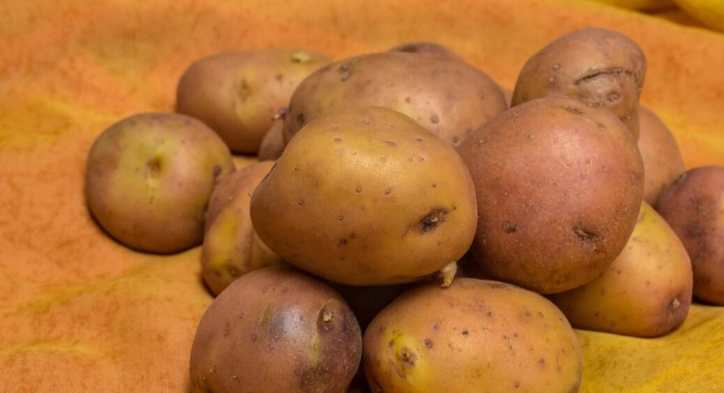 Ви побачили паростки на картоплі? Ось що треба робити: 3 простих дії вирішать проблему 