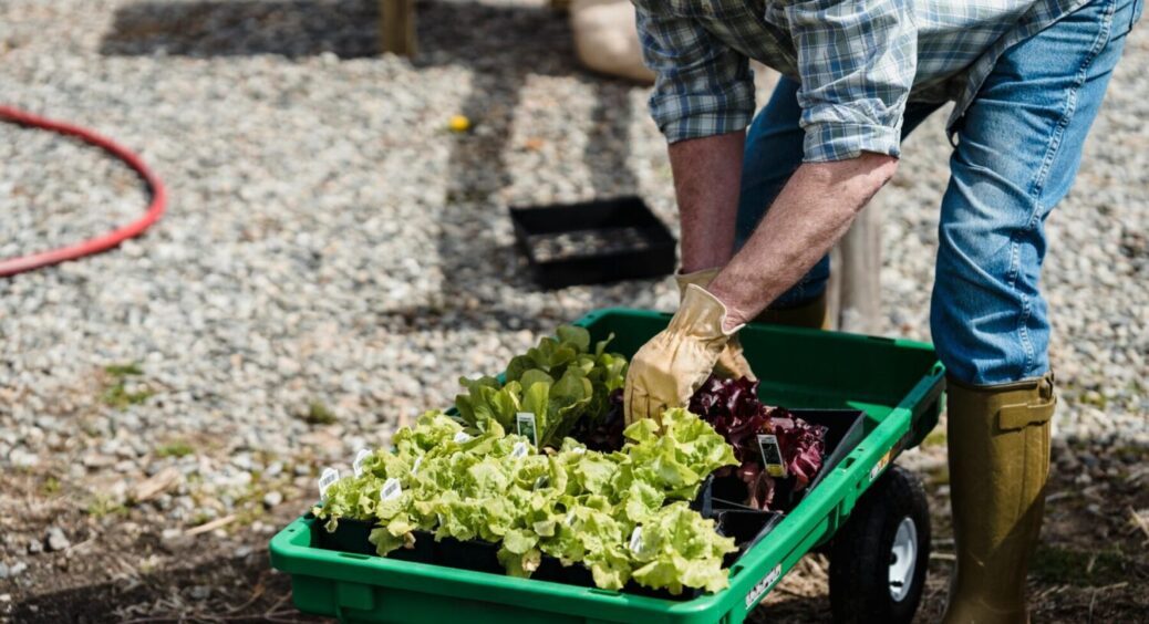 Через 3 дні чи краще 7? Коли можна приступати до городніх справ після Великодня 