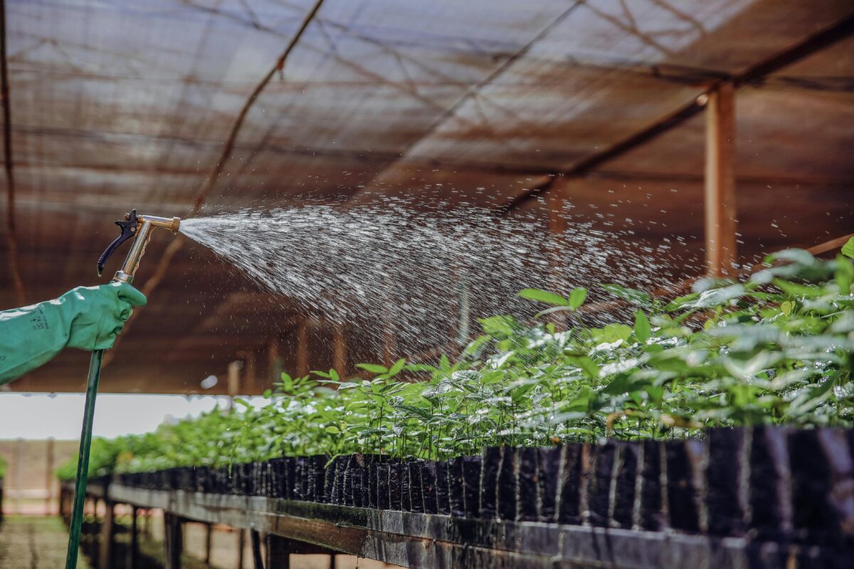 Городники пояснили, чому ранній посів у лютому не завжди чудова ідея