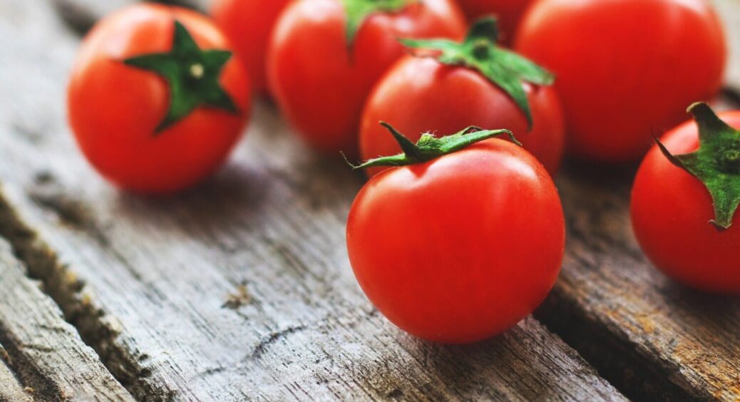 Що основне у вирощуванні помідорів? Знаючи це, зможете точно отримати гарний урожай 