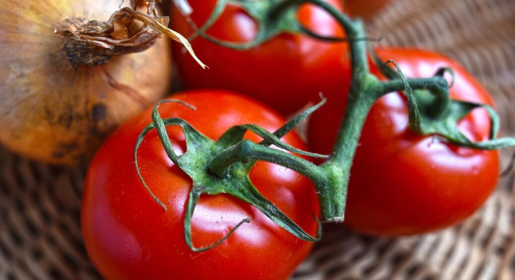 Полийте томати одразу після посадки цим – зберете у 2025-му дійсно рекордний урожай 