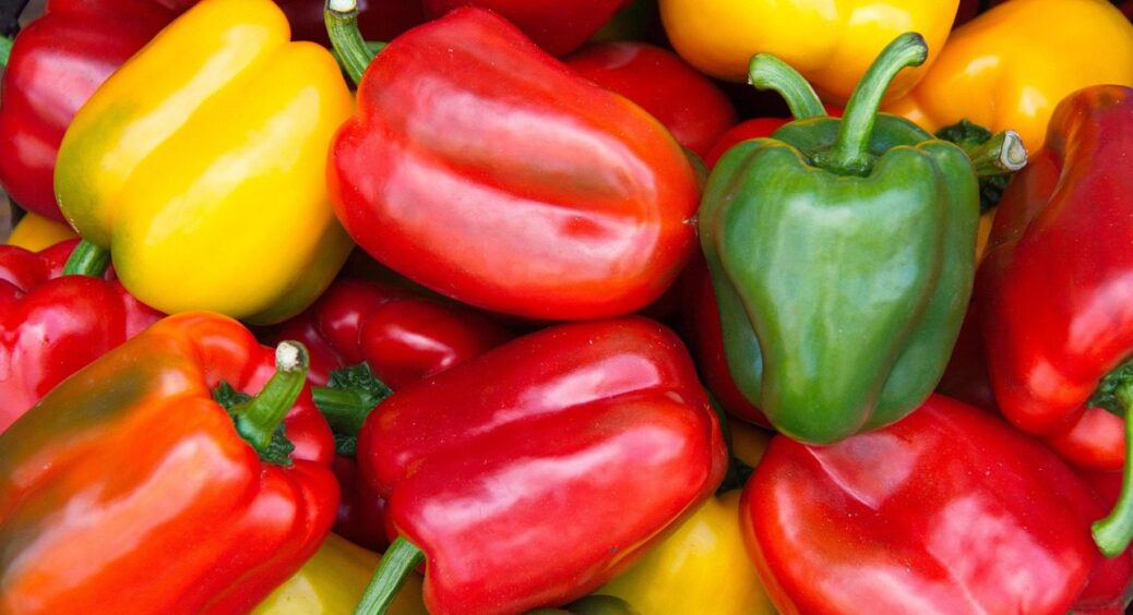 Секрет гігантських перців: про ці 3 добрива часто забувають, а дарма – вродить як востаннє 