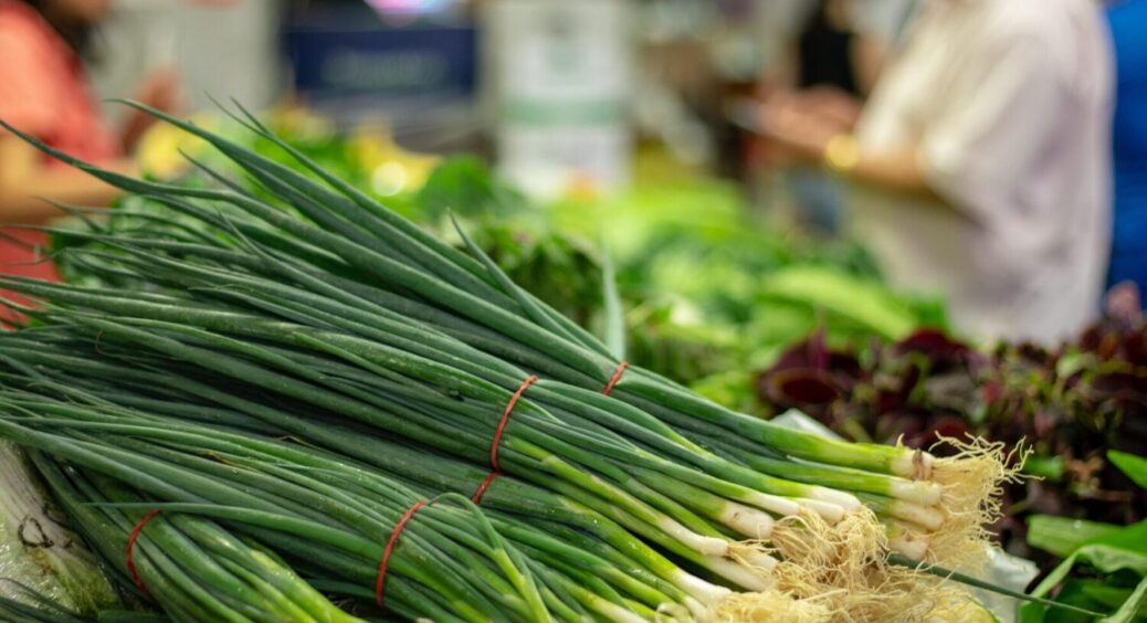 Зелена цибуля завжди прикрашатиме ваш борщ і бутерброд із салом: як виростити її на підвіконні 