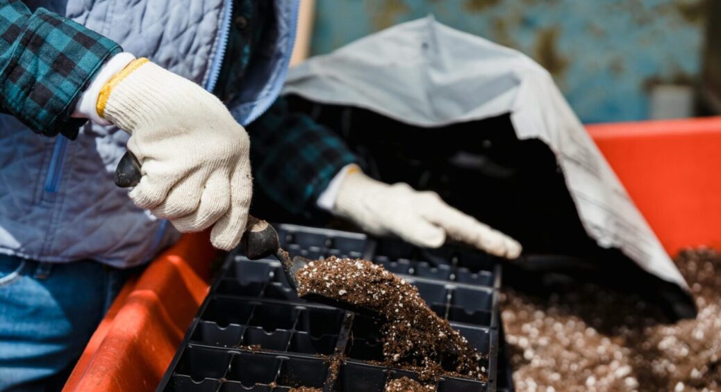 Ґрунт — це не просто земля! Як правильно обрати його з першого разу: 3 головні поради 