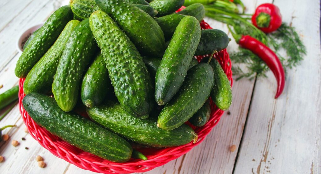 З року в рік саджаю тільки ці огірки і маю завжди щедрий урожай – плодоносять на 45-й день 