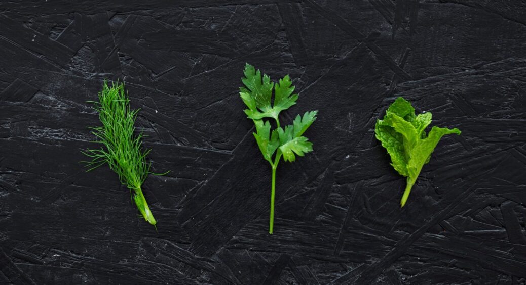 Врожаю буде втричі більше: чому треба засаджувати весь город кропом – зробіть так в 2025-му 