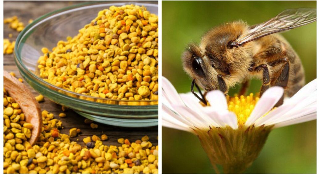 Не все радянське – погане: секрет довголіття із бджолиним пилком – за 1 місяць очищує судини 