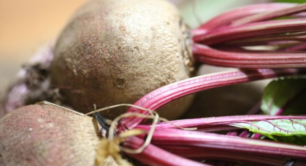 Не буряки, а “пісня”: цей сорт не боїться церкоспорозу, підходить для салатів і борщу 