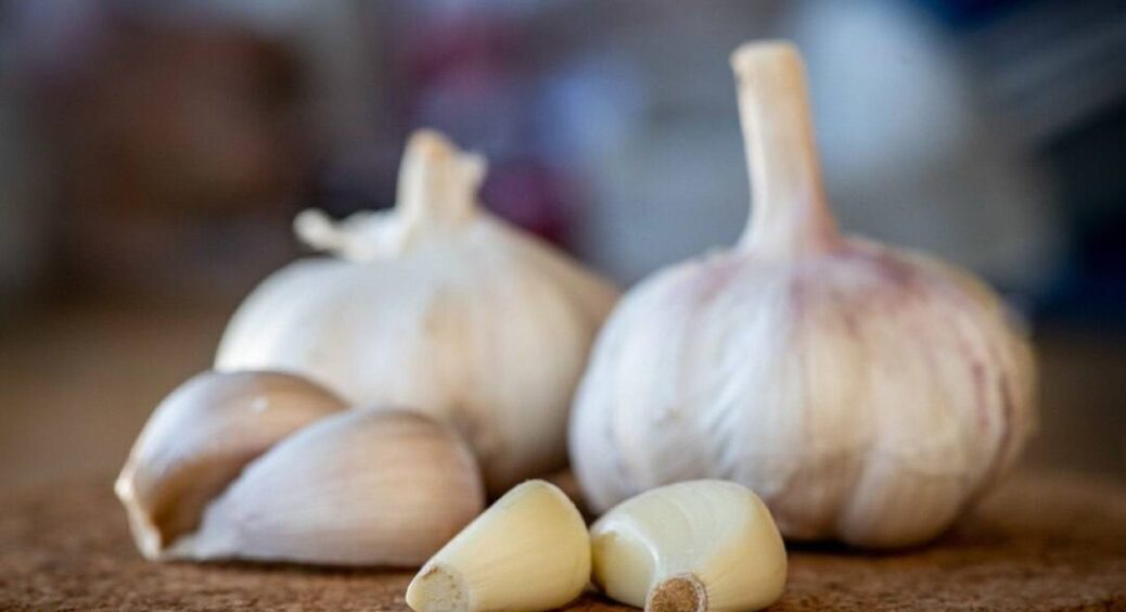1 ложка – і зубчики розміром з кулак: часник каже мені “дякую” – найкраще весняне підживлення 