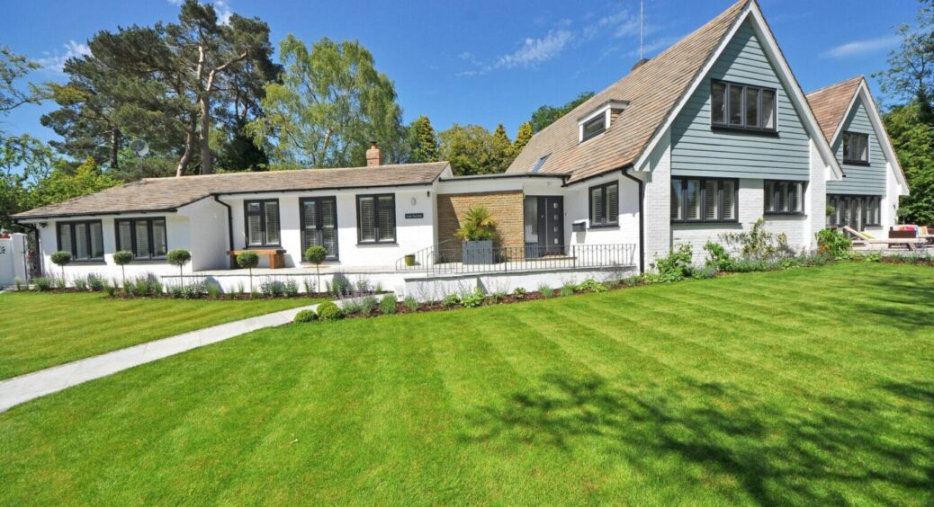 5 способів оновити свій газон після зими: така м’яка травичка підійде для літніх вечорів 