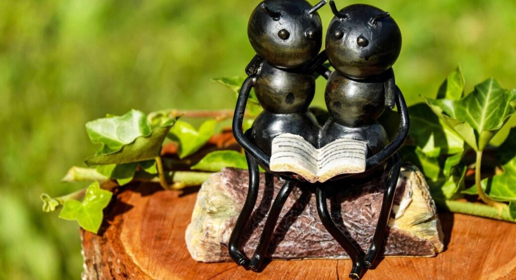 Старі ганчірки прив’язую до яблуні – і мурахи більше не турбують: так-так, вам не почулося 