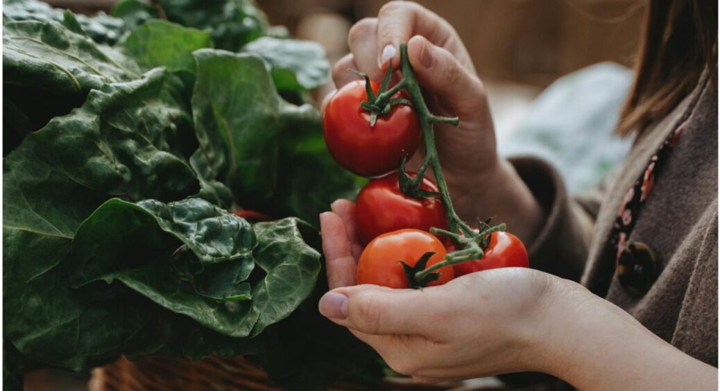 Саджаю тільки ці: сорти помідорів, які дозріють вже в кінці травня – чемпіони 2025 
