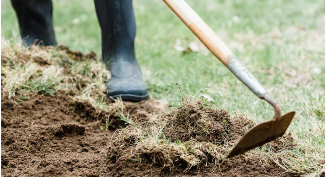 Якщо земля тверда як асфальт: 3 способи вирішити проблему – 99% городників роблять неправильно 