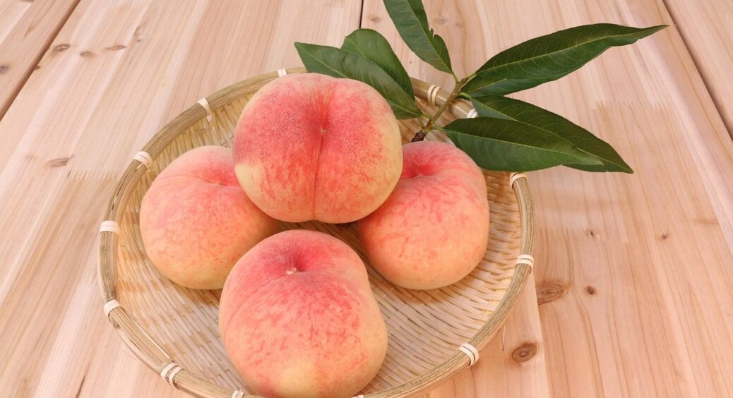 Кісточка дасть паросток через 15 днів: вирощуємо персикове дерево вдома – приживеться! 