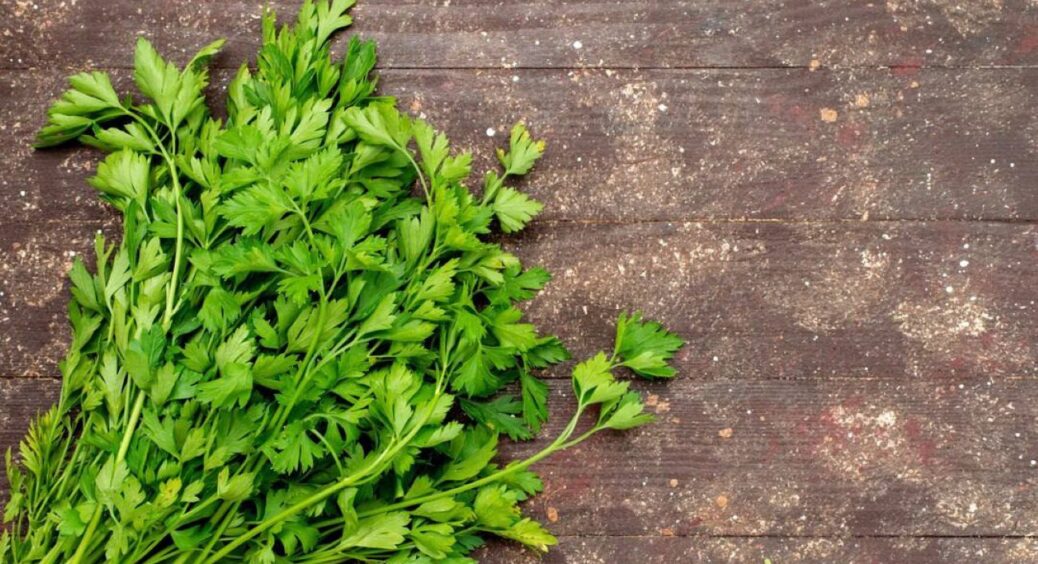 Коли сіяти петрушку у відкритий ґрунт: ідеальні дні, час і місця у 2025 році 