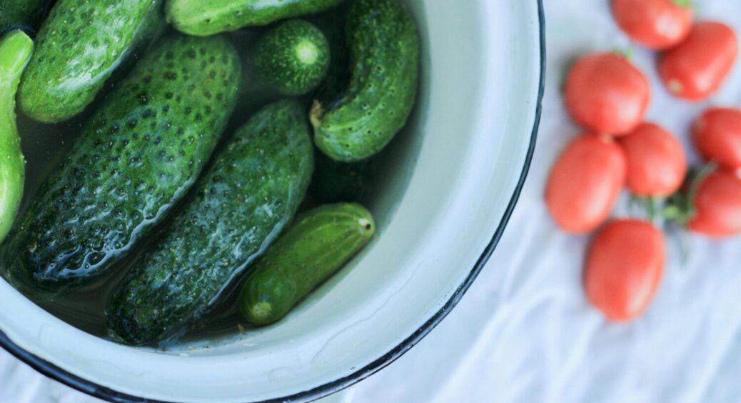 Соковиті огірки вагою по 300 г на кущах під 2 метри: сорт-чемпіон зі світовим рекордом 