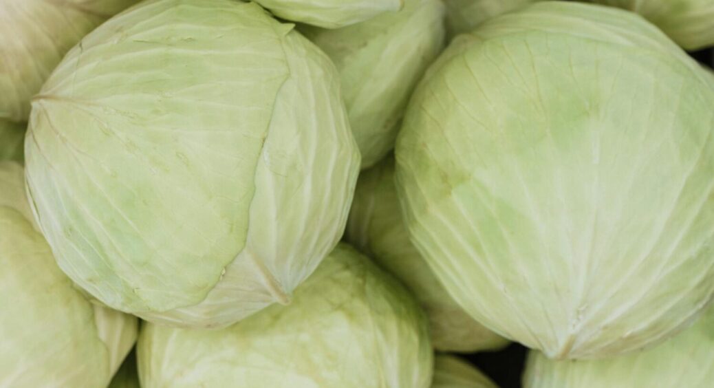 Ніколи не садіть капусту поруч із цією рослиною: на це є 2 причини, і через них не буде врожаю 