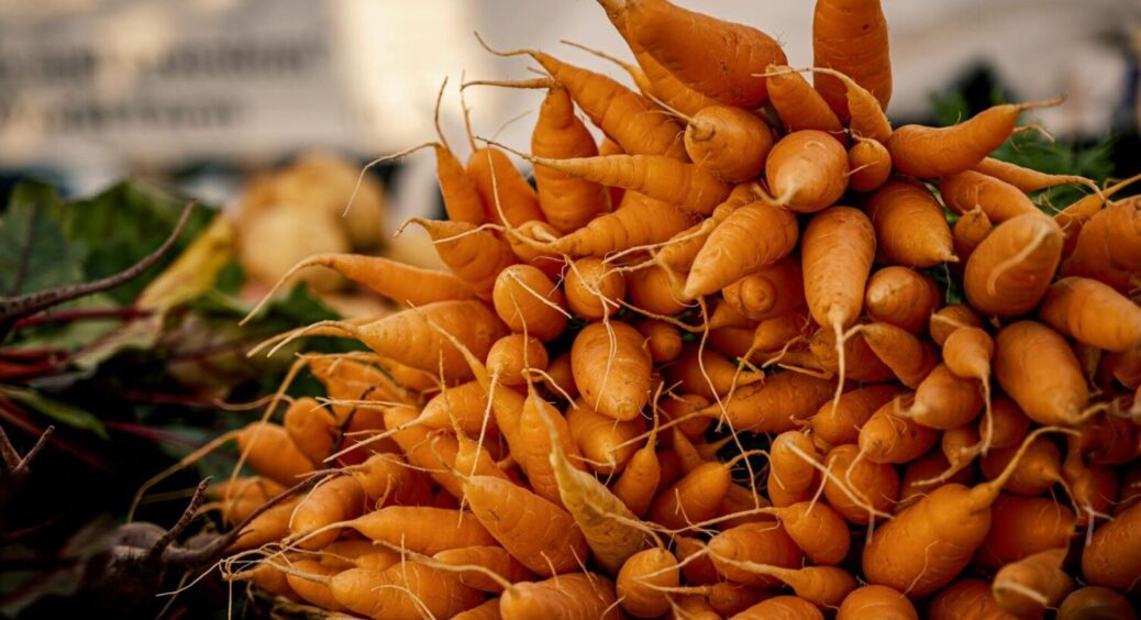 Ложка на відро води – і врожай у вас в кишені: 1 обов’язкова дія з морквою у квітні 