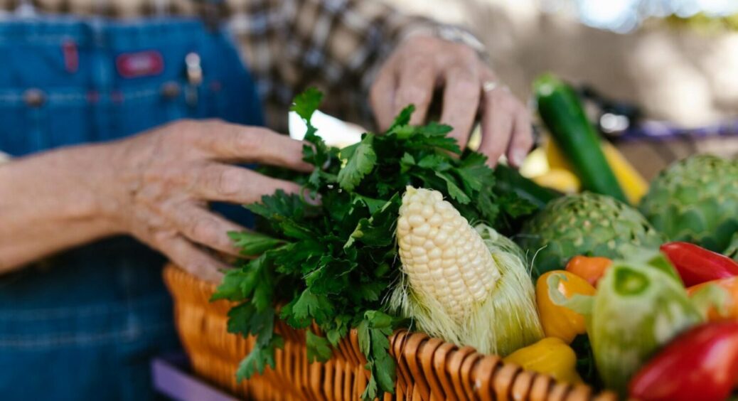 Що посіяти в тіні, щоб зібрати багатий врожай: 3 культури, яким відсутність сонця на користь 
