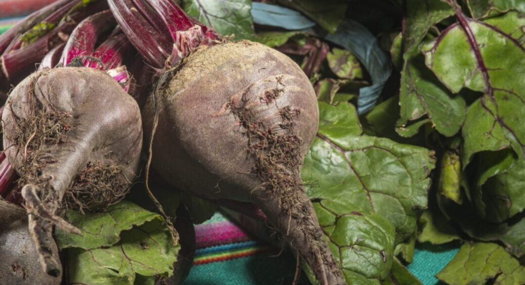 Не повторюйте цю “фатальну” помилку: від такого підживлення буряк виросте дрібний і блідий 