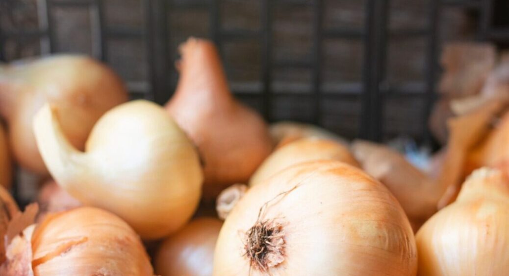 Перепробувала всі – ці 5 найкращі: сорти цибулі, які точно не залишать вас з пустими руками 