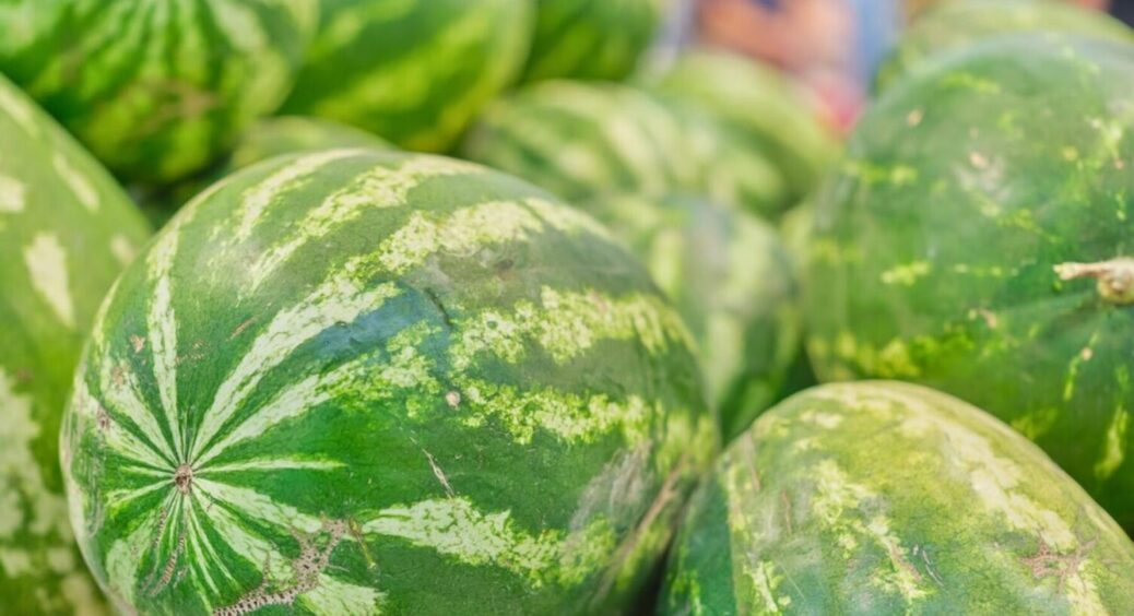 Названо 1 спосіб вирощування кавунів, який змінює все: урожай величезний навіть без теплиці 