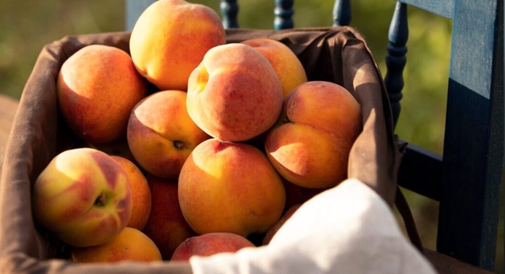 1 дія – і весь город в персиках! Що треба зробити з цим деревом навесні 2025 