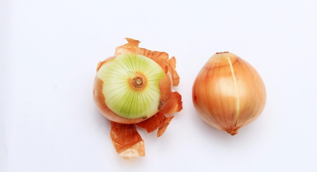 Цибулеве лушпиння – справжня знахідка для дачників: цей метод підживлення перевірений часом 