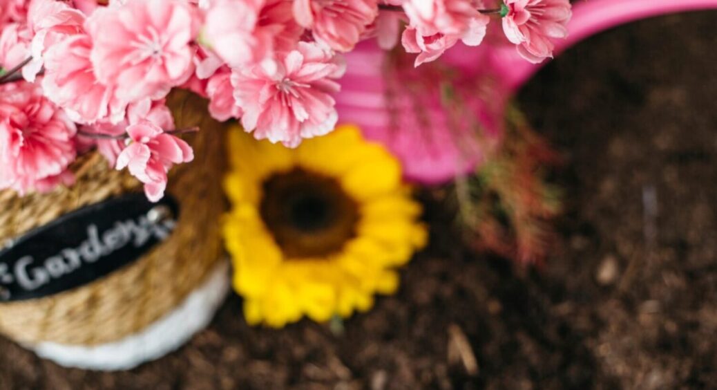 Підживлення для квітучих рослин, яке дає швидкий результат: 1 чайна ложка на 1 літр води 