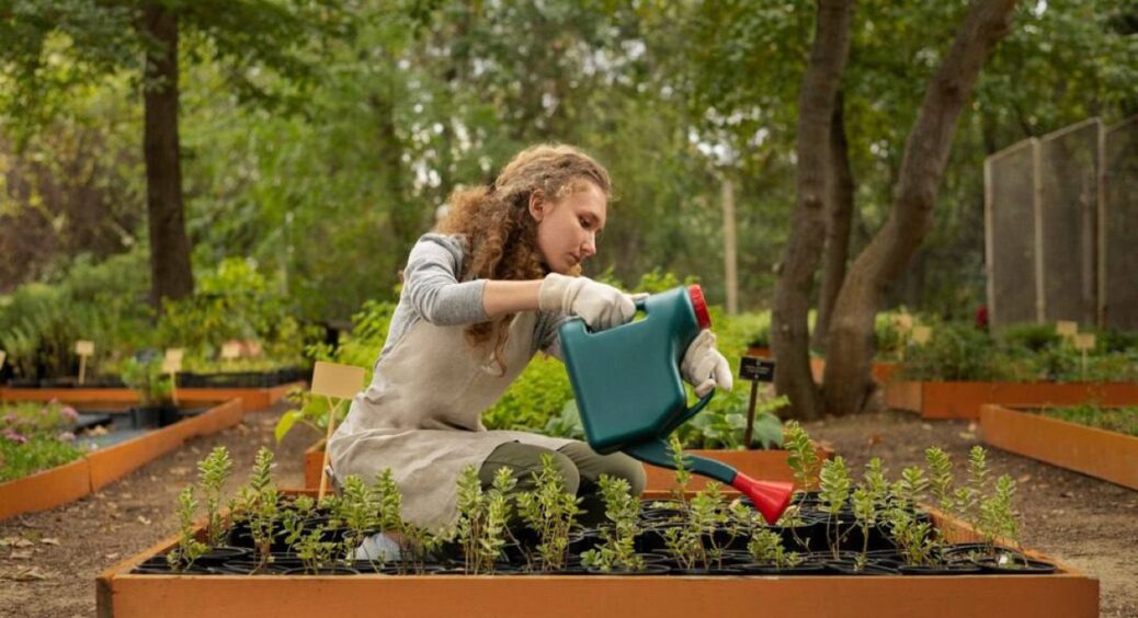 Навіщо дачники скуповують підгузки: трюк, завдяки якому рослини більше не засихають і не гниють 