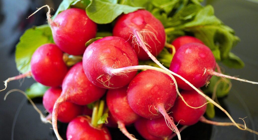 Секрети великого урожаю редиски: 7 правил, які допоможуть виростити редиску вже до літа-2025 
