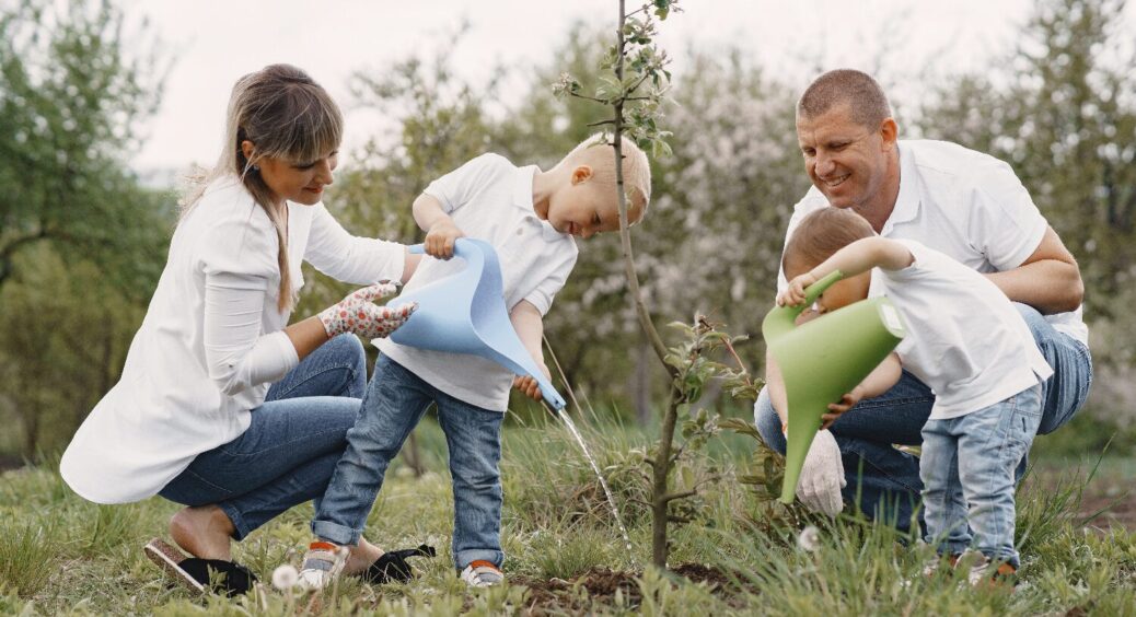 Всього 5 найкращих днів: коли садити плодові дерева у листопаді 2025 за календарем 