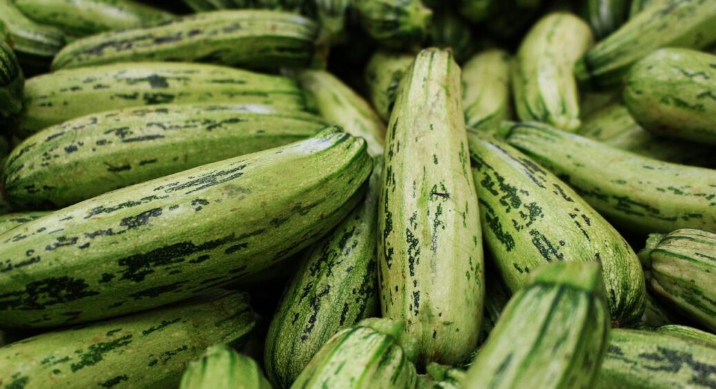 Огірки та кабачки до заморозків 2025: як з оцтом та содою виростити рекордні врожаї 