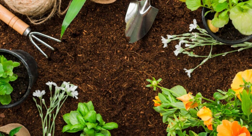 Травень вже “на носі”: 8 культур, які потрібно висадити у відкритий ґрунт до 10.05 – записуйте 