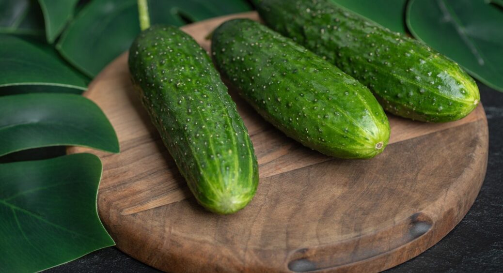 Посадіть ці 3 квітки поруч із огірками, і урожай приємно здивує вас: плодоноситиме нон-стоп 