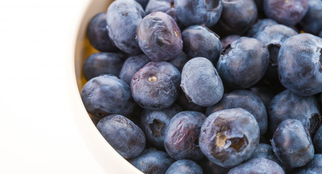 Коли саджати лохину, щоб влітку насолоджуватися ягодами, які на базарі коштують шалених грошей 