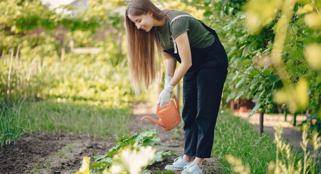 Чи працює насправді цей дивний рецепт? Що говорять городники про використання гасу на грядках 
