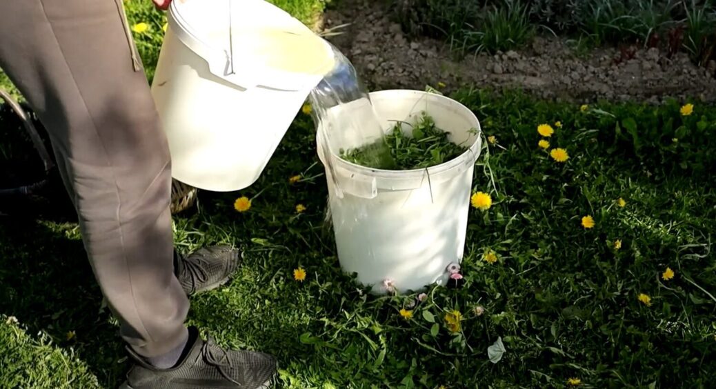 Готуються швидко і діють миттєво: 3 універсальні підживлення, які увійшли до списку найкращих 