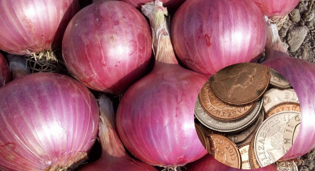 Цибулю саджу з монеткою: старий метод дідуся. Побачила врожай і зрозуміла – він був правий 