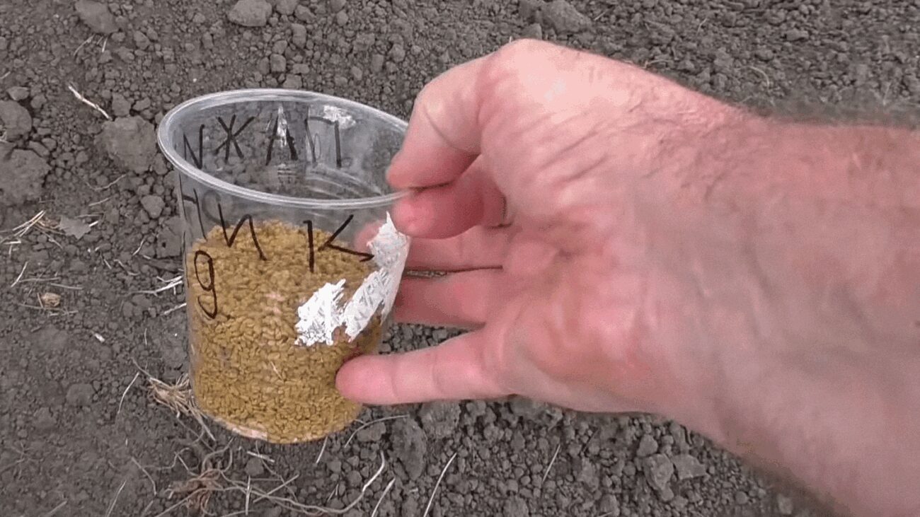 Садівники пояснили, чому важливо дотримуватися чергування овочів при посадці