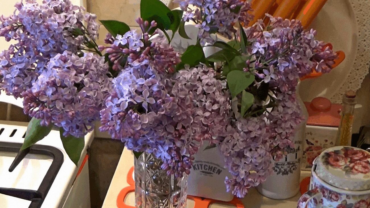 Флористи порадили, як зберегти бузок свіжим у вазі на кілька тижнів