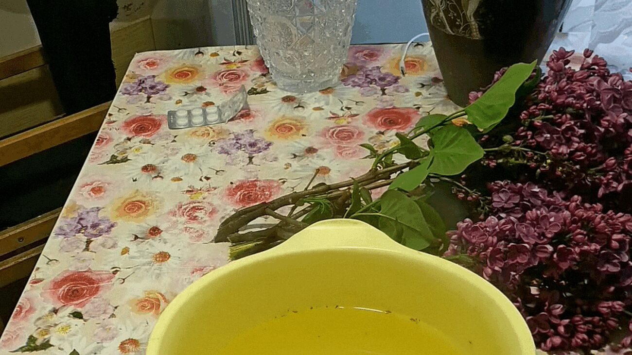 Флористи порадили, як зберегти бузок свіжим у вазі на кілька тижнів